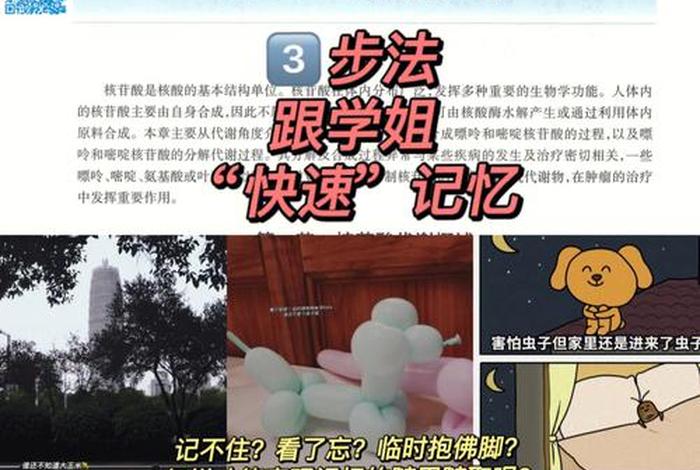 记忆学真的有用吗（隆成义记忆学真的有用吗）