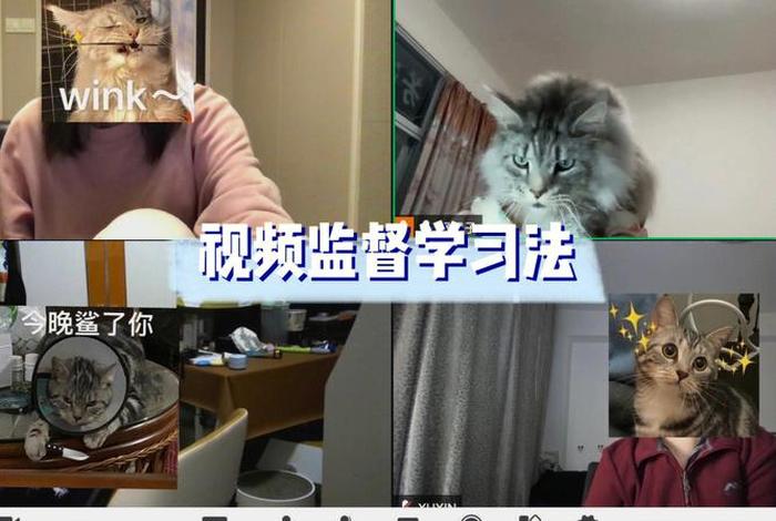 学习卡点；今天终于学会了卡点视频