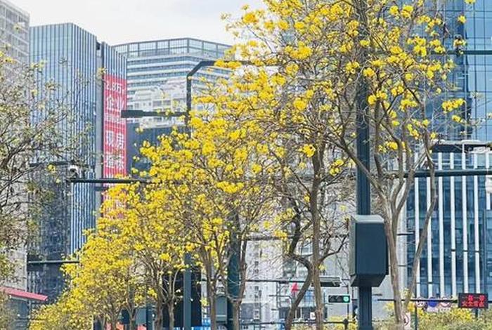 南宁论坛秒射佬(广西南宁) 南宁论坛秒射佬(广西南宁)