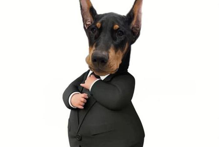 土豪的日常就是这么枯燥 - [综英美]土豪的日常作者-未末de