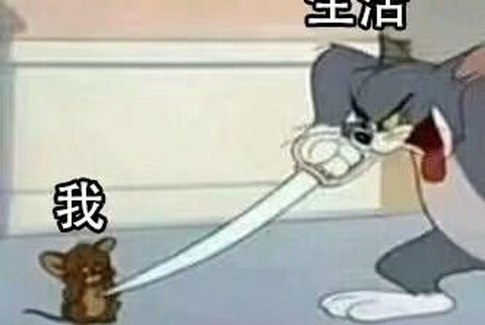 生活和我表情包原图 生活和我表情包原图高清