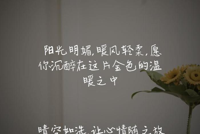 阳光生活的句子精致短句、阳光生活的句子精致短句图片 阳光生活的句子精致短句、阳光生活的句子精致短句图片