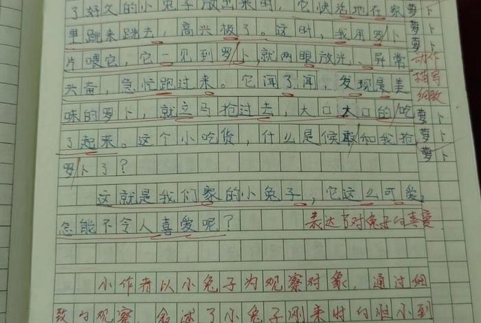 生活中错别字现象作文400字 - 生活中 错别字 生活中错别字现象作文400字 - 生活中 错别字