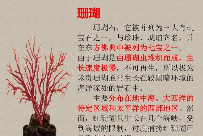 珊瑚生活在什么地质年代、珊瑚全部生活在海洋中吗 珊瑚生活在什么地质年代、珊瑚全部生活在海洋中吗