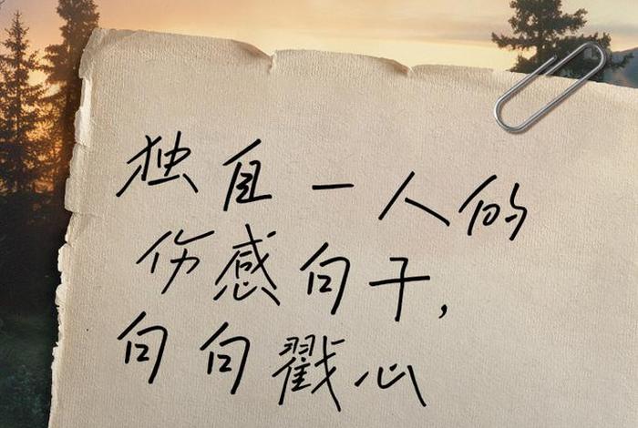 一个人生活图片伤感、一个人生活的说说图片 一个人生活图片伤感、一个人生活的说说图片