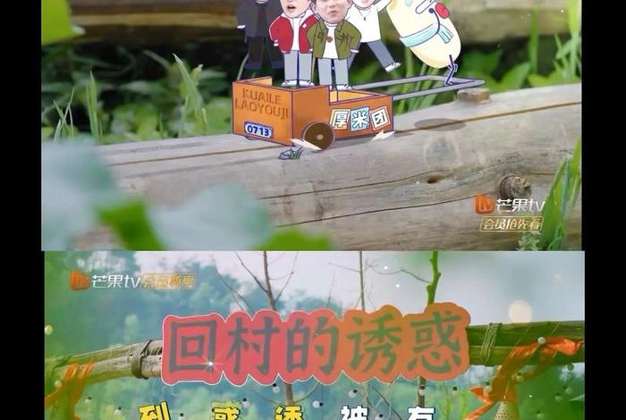 生活类综艺节目，生活类综艺节目有哪些