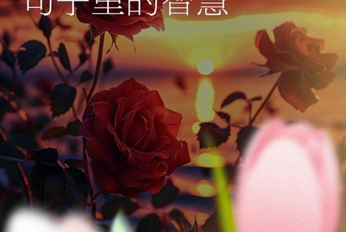 生活犹如一杯白开水(生活犹如一杯白开水下一句) 生活犹如一杯白开水(生活犹如一杯白开水下一句)