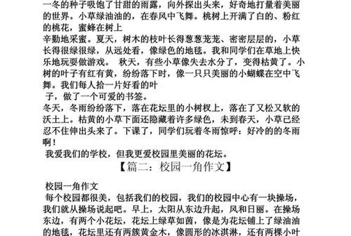 我的校园生活作文300字（我的校园生活作文300字怎么写）