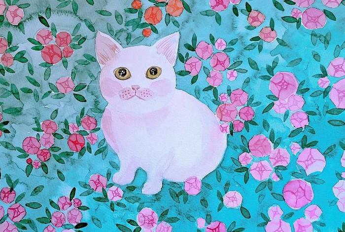 流浪猫的图片大全 流浪猫图画 流浪猫的图片大全 流浪猫图画