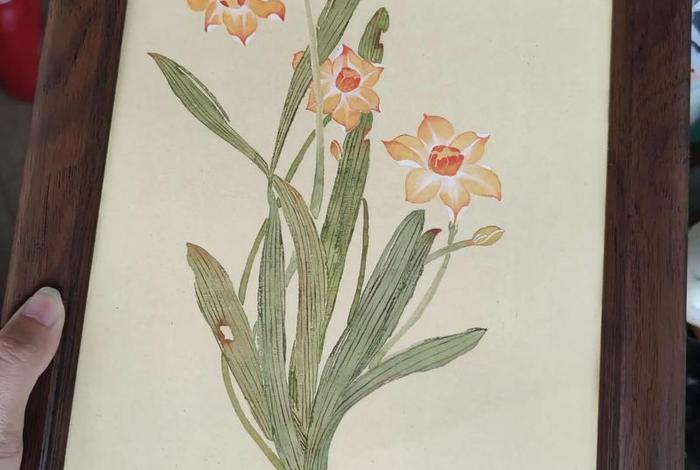 装点生活水仙花 - 装点生活的画