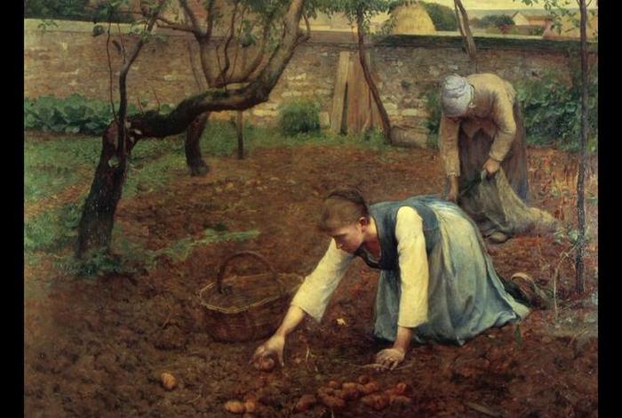 采集者的生活 - 采集生活什么意思 采集者的生活 - 采集生活什么意思