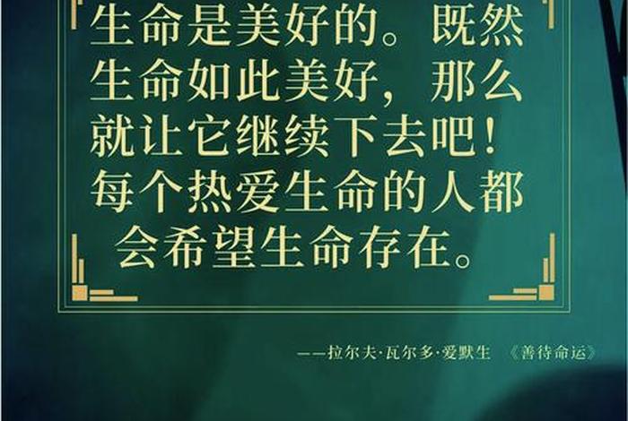 生活生命感悟经典句子；关于生活生命的句子