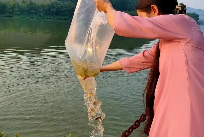 放生活动的视频素材、放生活动文案