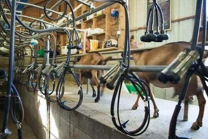 澳大利亚的生活的真实状况、澳大利亚的生活的真实状况是什么