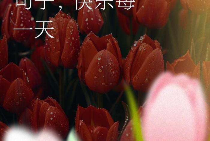 开心快乐的经典句子、50岁开心快乐的经典句子 开心快乐的经典句子、50岁开心快乐的经典句子