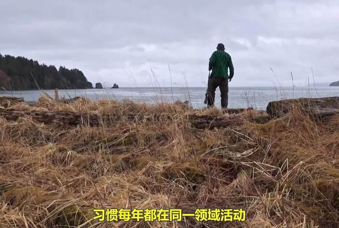 采集者的生活 - 采集生活什么意思 采集者的生活 - 采集生活什么意思