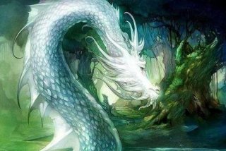 龙在哪里生活的好；龙在哪儿生活