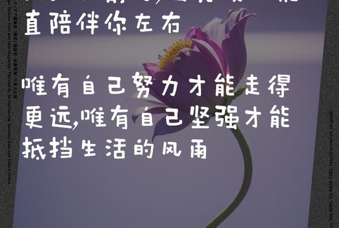 生活教会了我坚强、生活教会了我坚强的句子