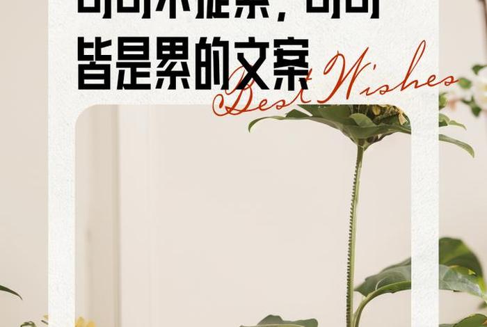 生活累的文案抽象(生活累的段子) 生活累的文案抽象(生活累的段子)