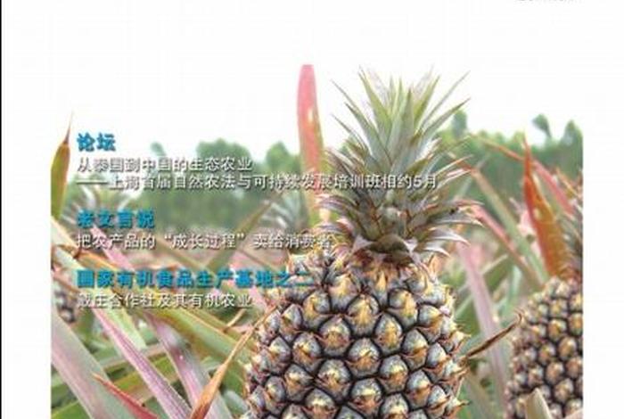 生活杂志有哪些,生活杂志有哪些期刊 生活杂志有哪些,生活杂志有哪些期刊