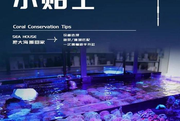 珊瑚生活的水温是多少，珊瑚温度最低多少度