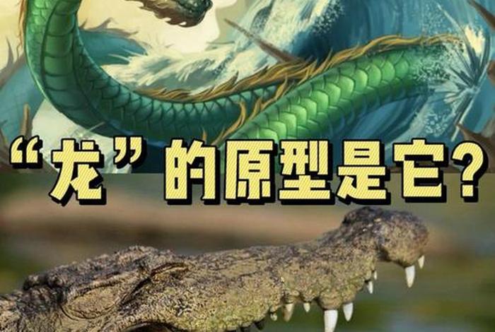 龙在什么地方生存呢(龙在哪里呢) 龙在什么地方生存呢(龙在哪里呢)