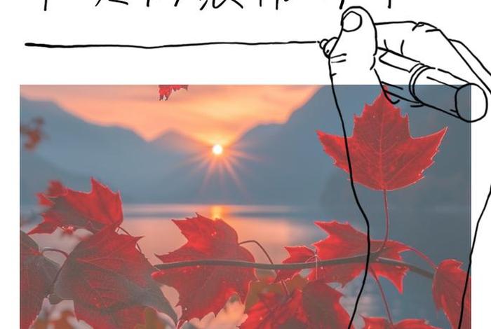 生活感悟的图片 唯美（生活感悟经典句子图）