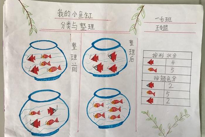 生活中的分类与整理（生活中分类现象）
