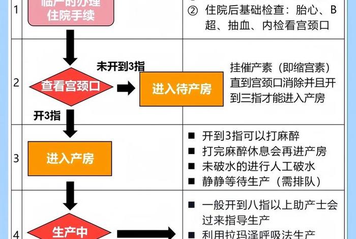 放生活动流程 放生仪式流程
