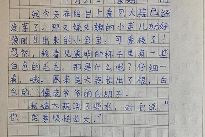 观察生活日记怎么写；生活观察日记200字
