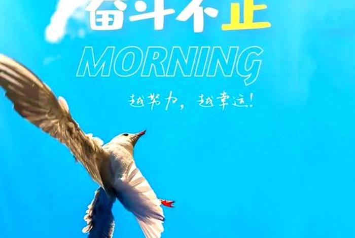 生活正能量图片配图,生活正能量唯美句子 生活正能量图片配图,生活正能量唯美句子