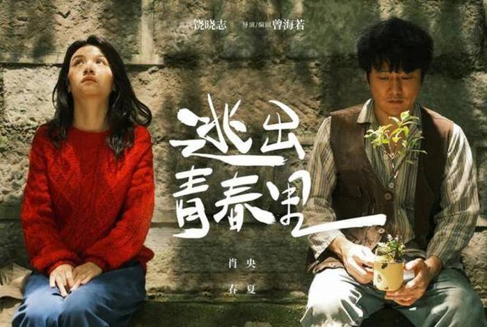 中国留学生活电影、留学生的生活纪录片 中国留学生活电影、留学生的生活纪录片