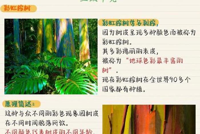 生活中的地理现象有哪些；生活中有关地理的现象及其原理