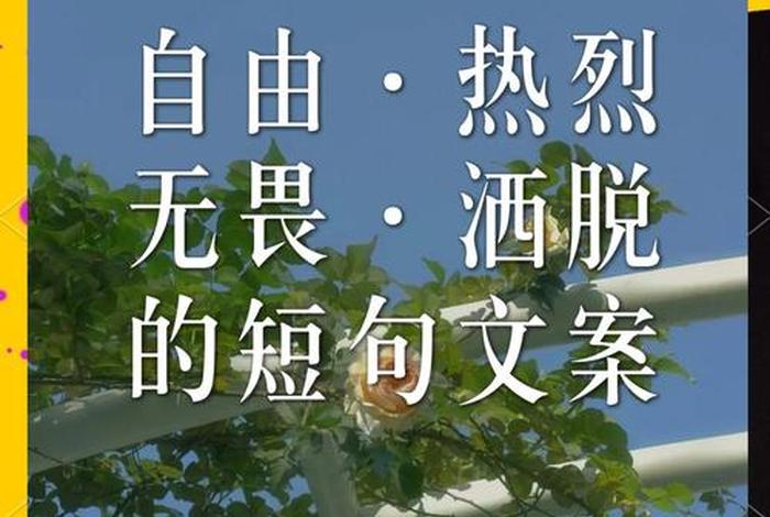 喜欢现在干净自由，喜欢现在干净自由的句子