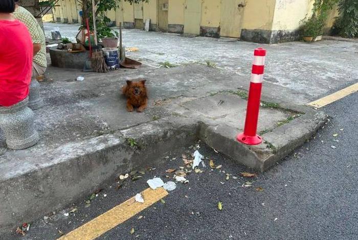 生活中的文明现象和文明行为，生活中的文明现象和不文明现象