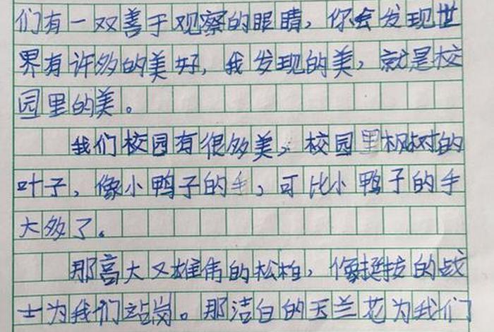 发现生活中的美50字、发现生活中的美50字小练笔