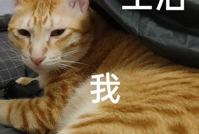 生活 我 表情包原图 压垮 - 生活压我的图片大全