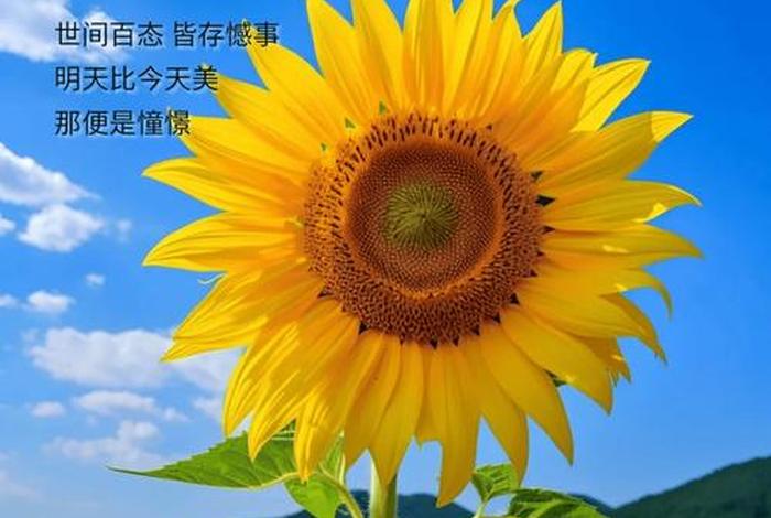 早安生活正能量简单一句话;早安生活励志说说 早安生活正能量简单一句话;早安生活励志说说