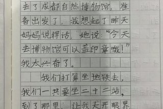 一二年级的日记（一二年级的日记50个字）