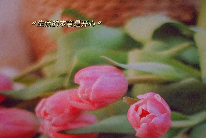 开心快乐的生活着,开心的生活好吗 开心快乐的生活着,开心的生活好吗