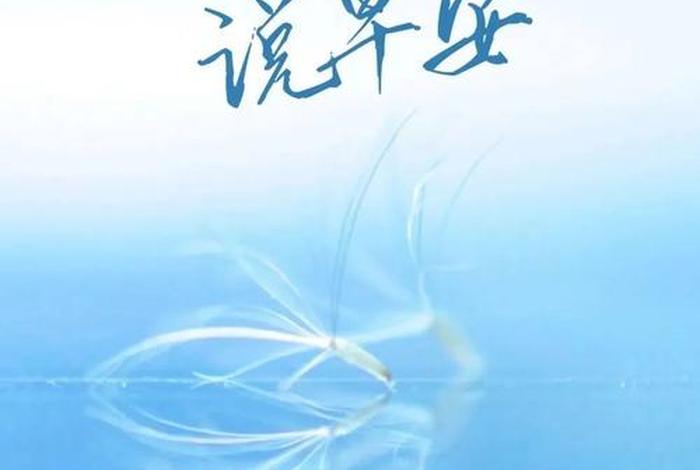 正能量生活的句子说说心情 - 正能量生活的短句