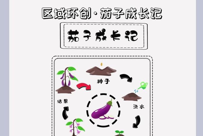 茄子生活环境 茄子的生活周期 茄子生活环境 茄子的生活周期