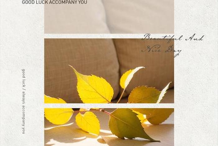 近期生活照片的文案 日常生活照片文案