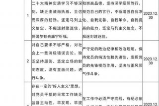 严格组织生活方面的问题整改台账 组织生活不严肃整改