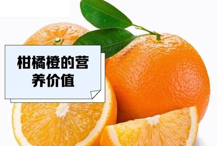 益橙生活，益橙生活商业模式是什么