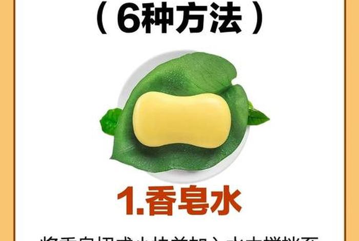 蚁淘生活的蚁兵怎么快速升级蚁后;蚁淘如何快速升级蚁后 蚁淘生活的蚁兵怎么快速升级蚁后;蚁淘如何快速升级蚁后