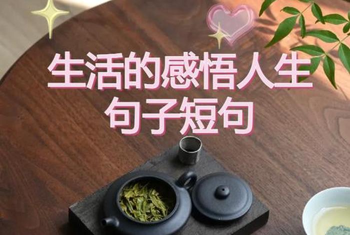 生活的意义经典语录、生活感悟经典句子