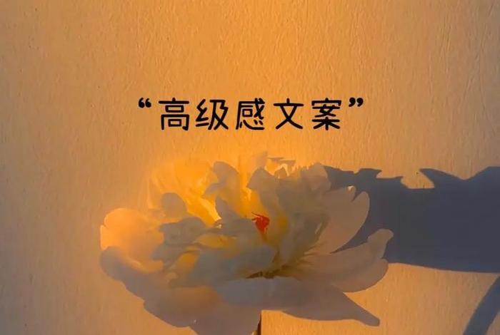 质感生活的文案、有质感的生活 质感生活的文案、有质感的生活