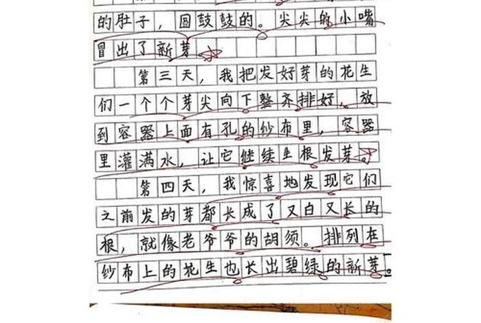 观察生活日记二年级 - 观察生活写日记