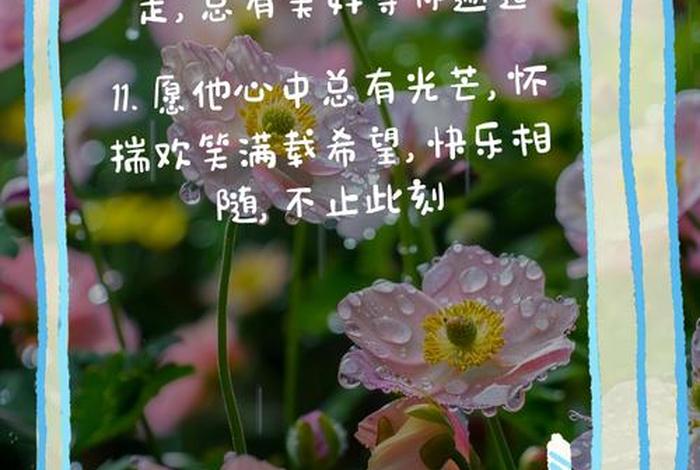 祝生活愉快下一句（祝 生活愉快）